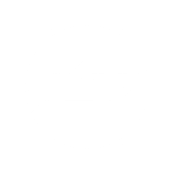 looping gif of SECAT 'icon' logo