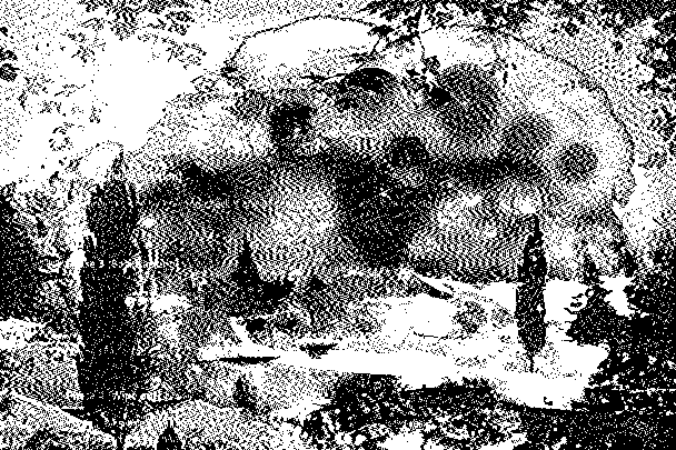 dithered abstract photoshop collage